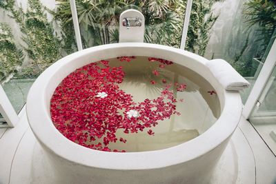 Chantier de un jacuzzi