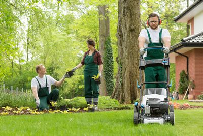 Chantier de tarif des prestations d'un jardinier