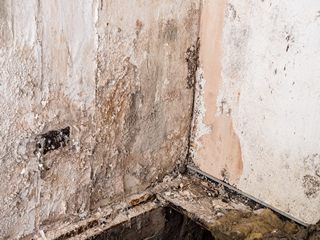 Comment traiter le salpêtre — guide travaux RenoMigo Comment traiter le salpêtre : conseils, prix et travaux