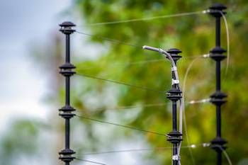 Prix d'une clôture électrique : conseils et prix des travaux