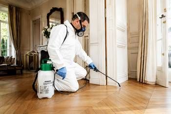 Comment traiter les puces de parquet ? — guide RenoMigo Comment traiter les puces de parquet ? : conseils et prix des travaux