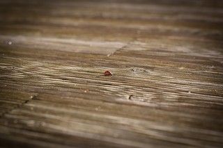En quel matériau réaliser votre terrasse ? : conseils et prix des travaux