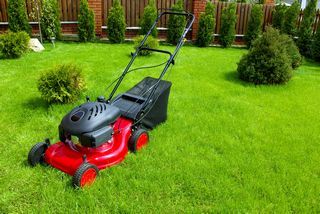 Comment choisir une tondeuse à gazon ? — guide travaux RenoMigo Comment choisir une tondeuse à gazon ? : conseils, prix et travaux
